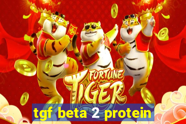 tgf beta 2 protein